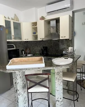 Luxury Delfini
